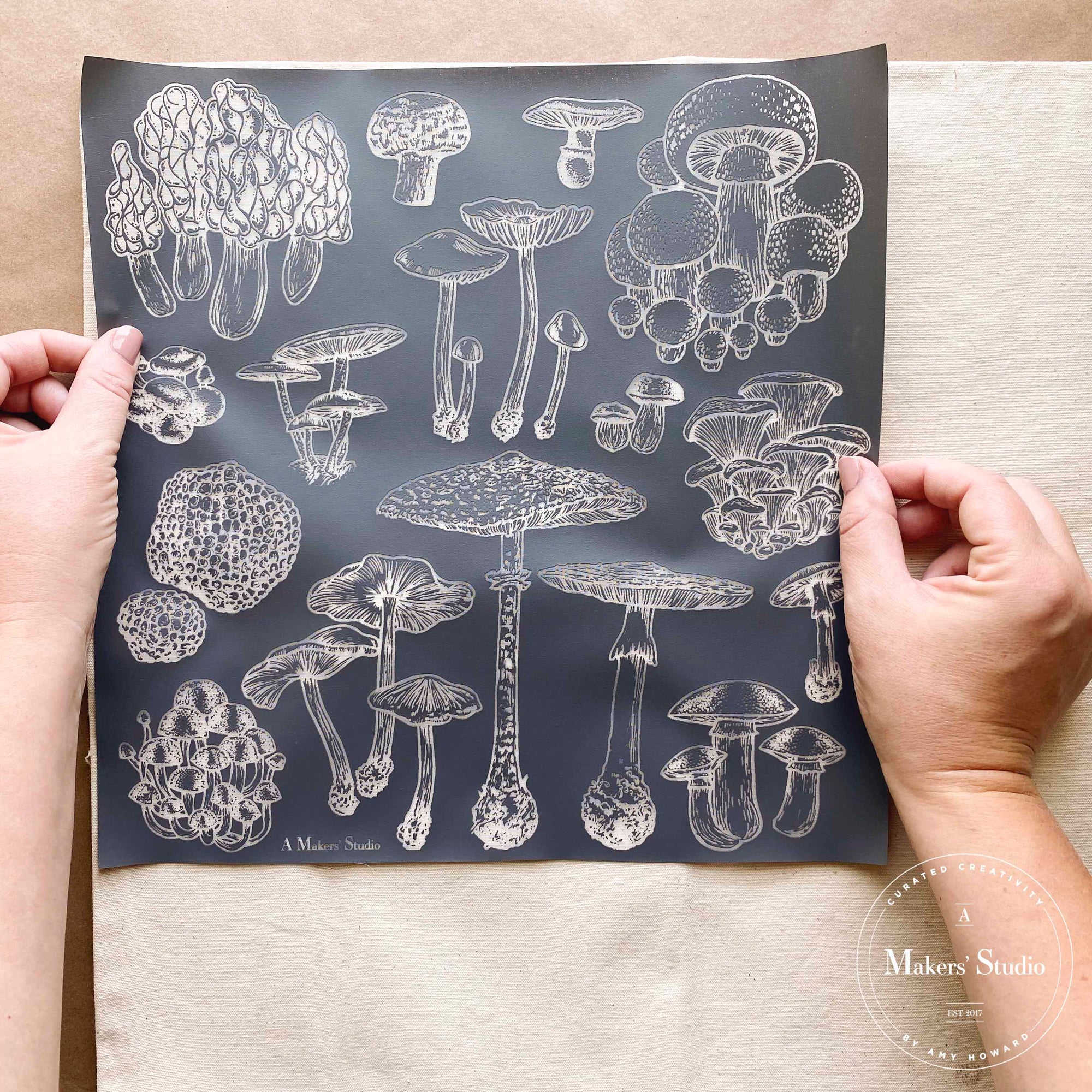 Fungi - Mesh Stencil 12x12