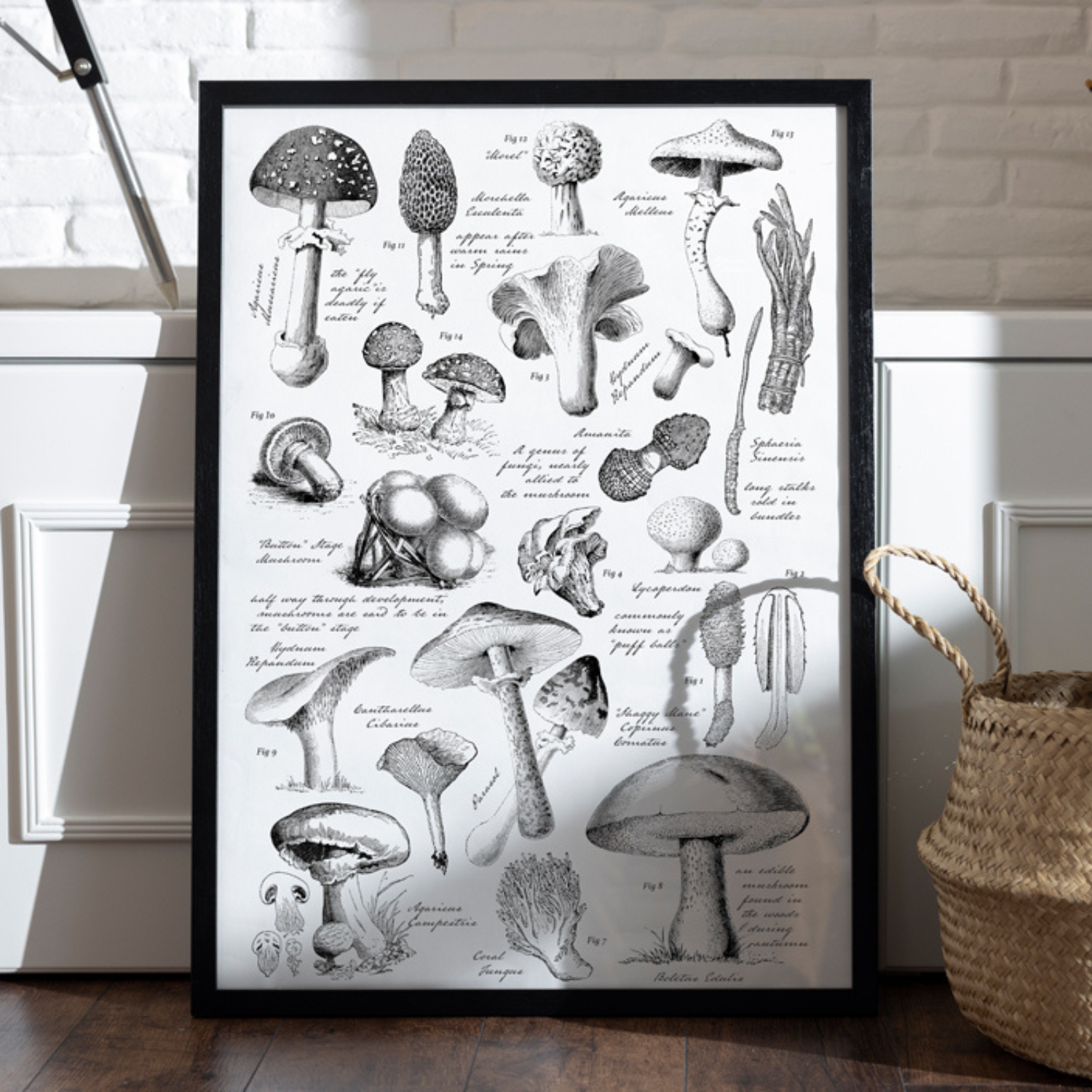 Mushroom Chart - Mesh Stencil 12x18